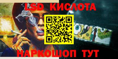 прущие грибы Краснодар