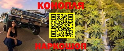 гидра Краснознаменск