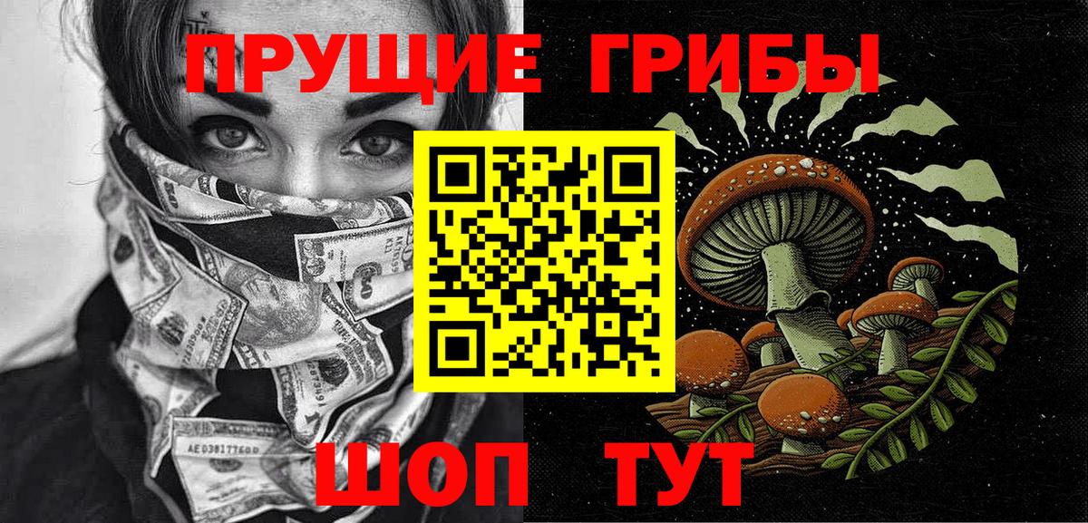 Псилоцибиновые грибы Cubensis Копейск